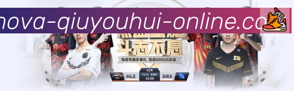 未来规划