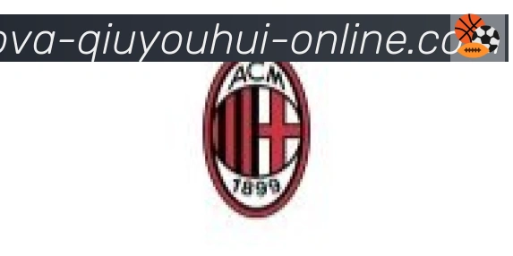 球友会体育合作伙伴